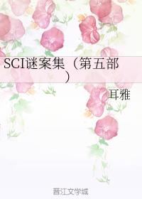 SCI谜案集（第五部）